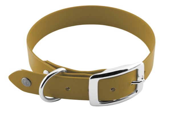 BioThane® Halsband – Dornschnalle – 13 mm – Gold